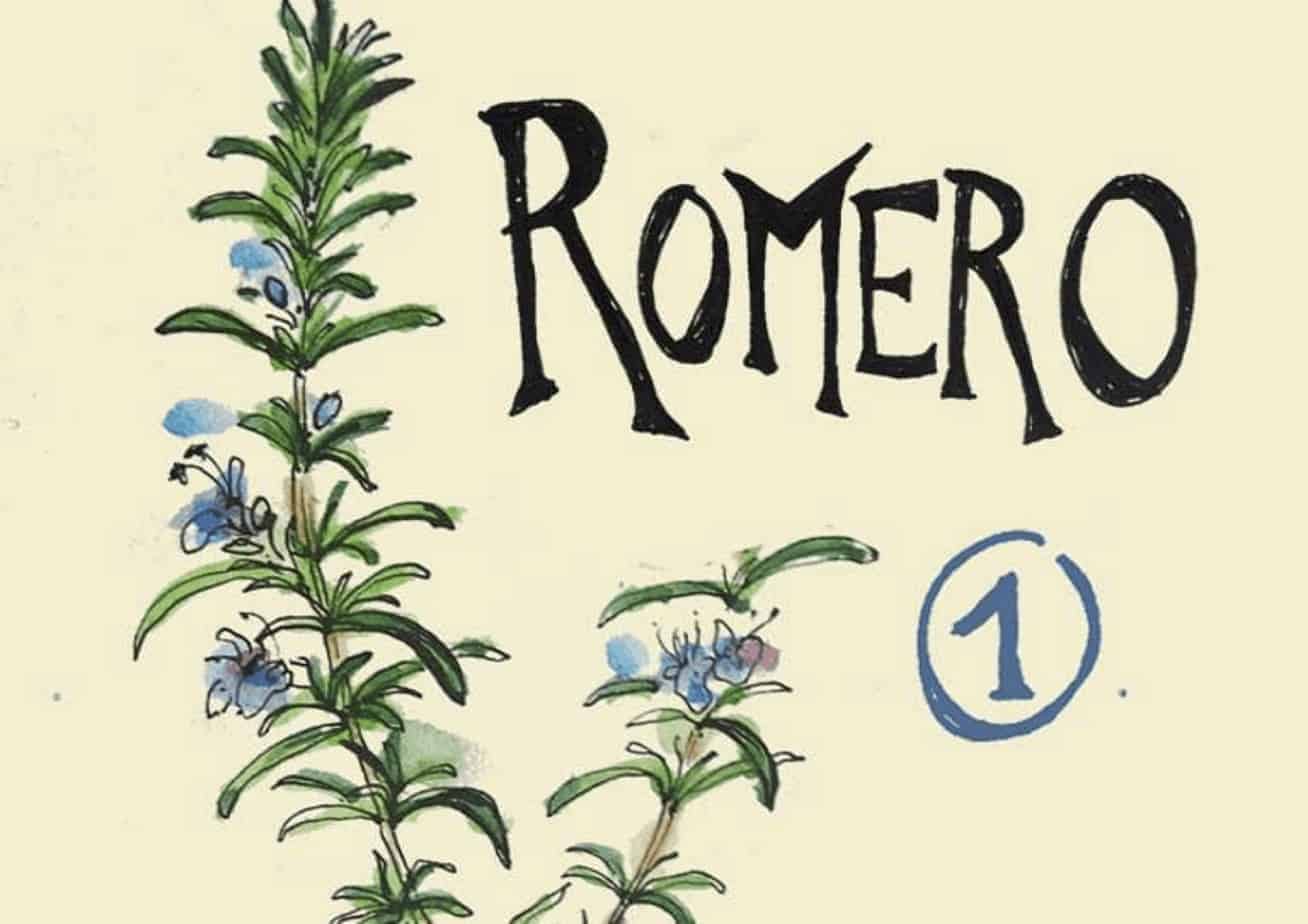 Ilustración de la planta de Romero con flores y hojas verdes.