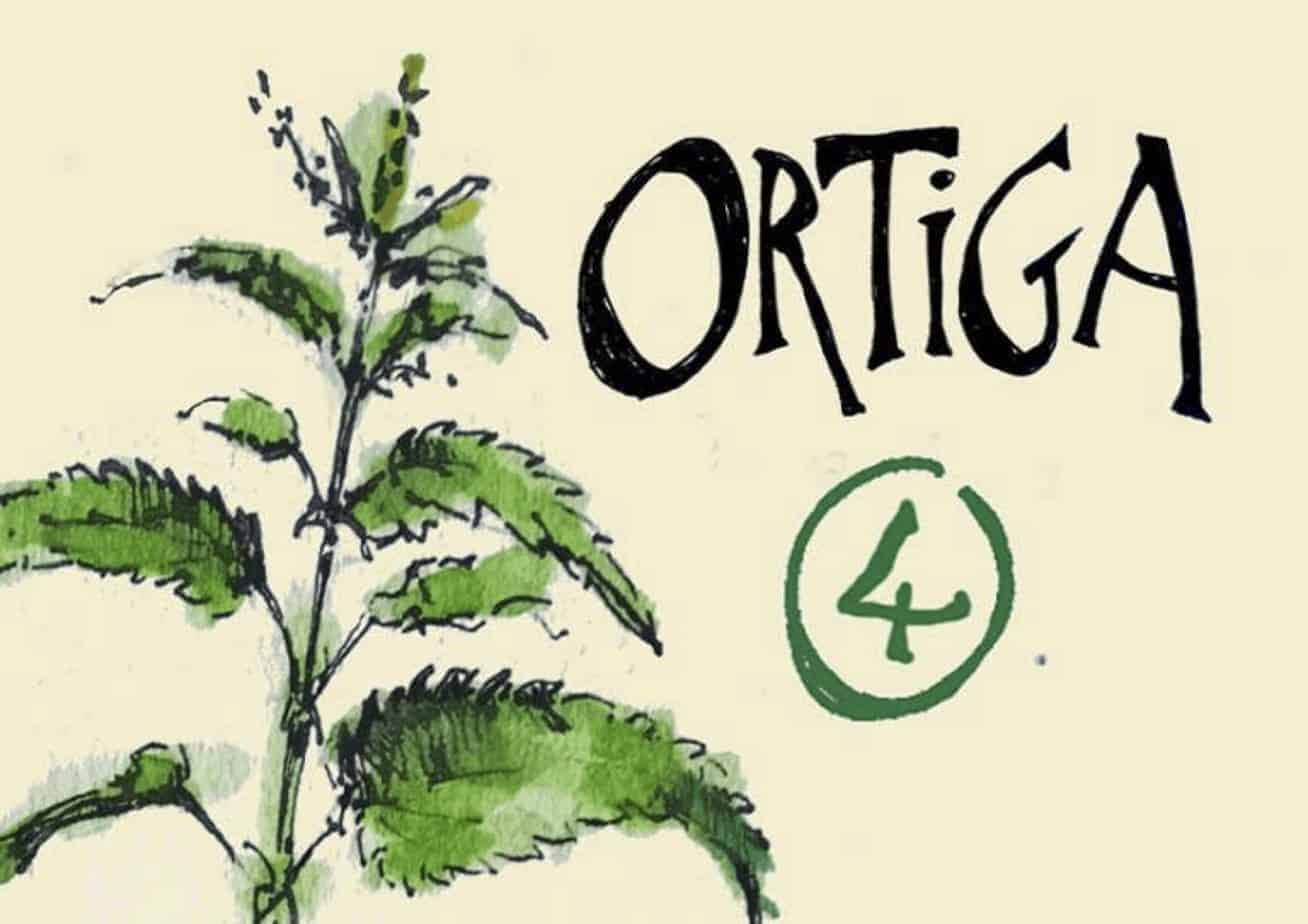 Ilustración de ortiga, planta medicinal y alimenticia, con texto y número 4.