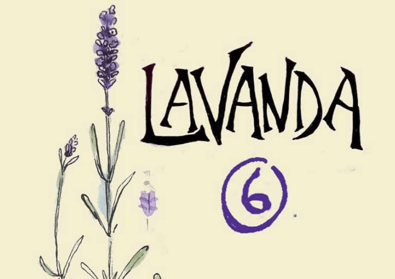 Ilustración de lavanda con texto y número 6 para post de Lavanda.