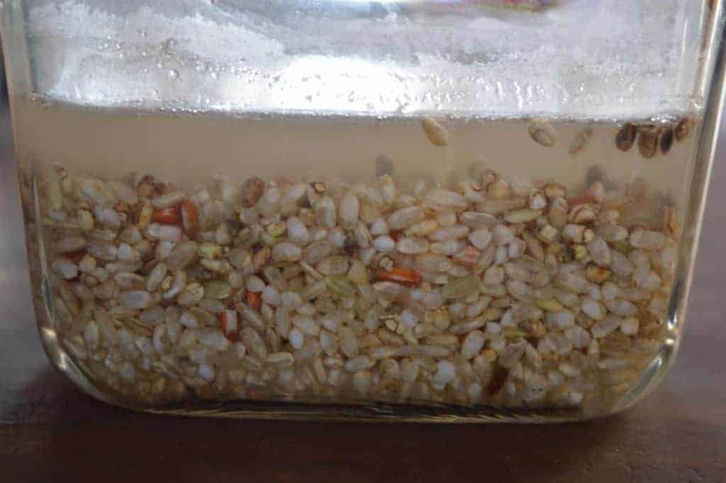 Semillas germinadas en agua para promover la conciencia alimentaria.