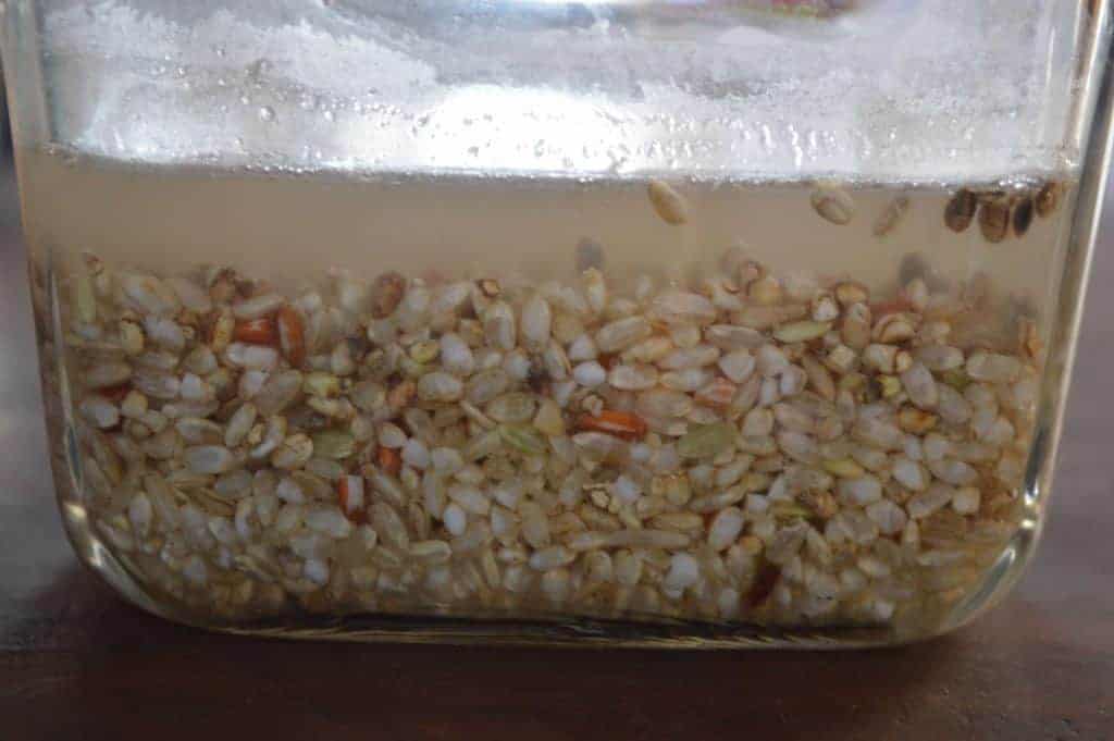 Semillas germinando en agua para promover la salud y la conciencia alimentaria.