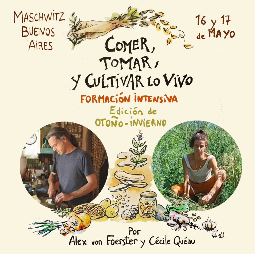 Prácticas de alimentación consciente y cultivo de alimentos vivos en otoño-invierno. Taller intensiv.