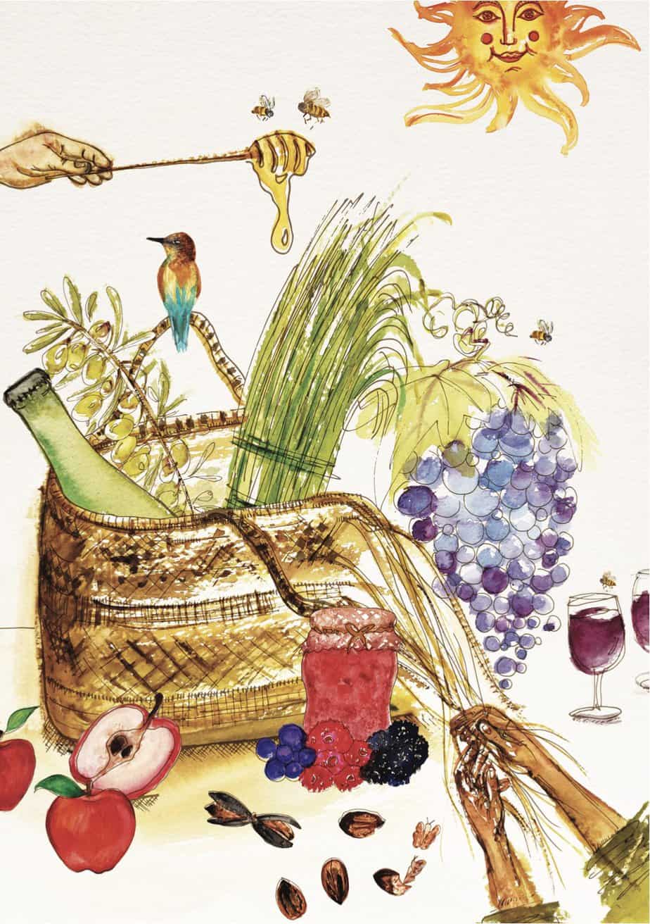 Fruta, vino, y alimentos naturales en un estilo artístico, promoviendo conciencia alimentaria y vida saludable.