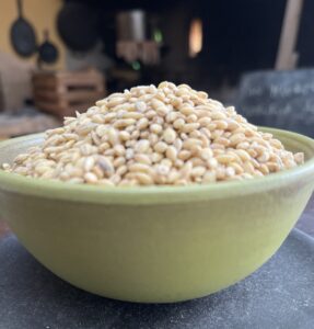 Cebada en grano en tazón ecológico para recetas saludables.