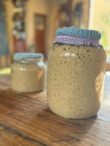 1. Polvo de masa madre fermentada en frascos de vidrio con tela en la tapa.