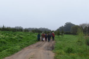 Camino rural en retiro de alimentación en Uruguay, con grupo de personas caminando en un entorno nat.