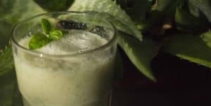 Licuado de kéfir y aloe vera, ideal para revitalizar y regenerar el organismo.