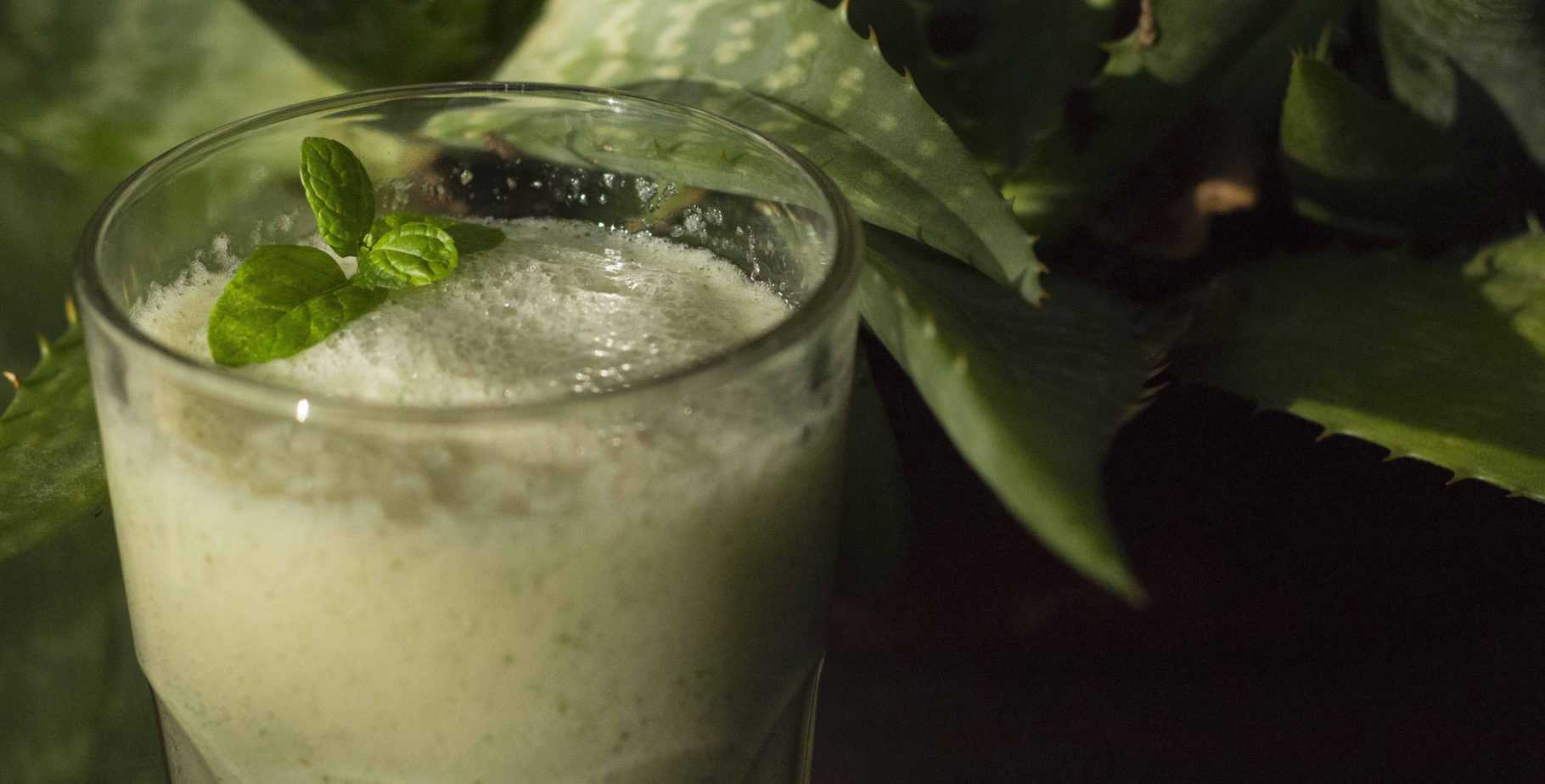 Licuado de kéfir y aloe vera, ideal para revitalizar y regenerar el organismo.