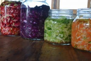 vegetales-fermentados-en-4-colores