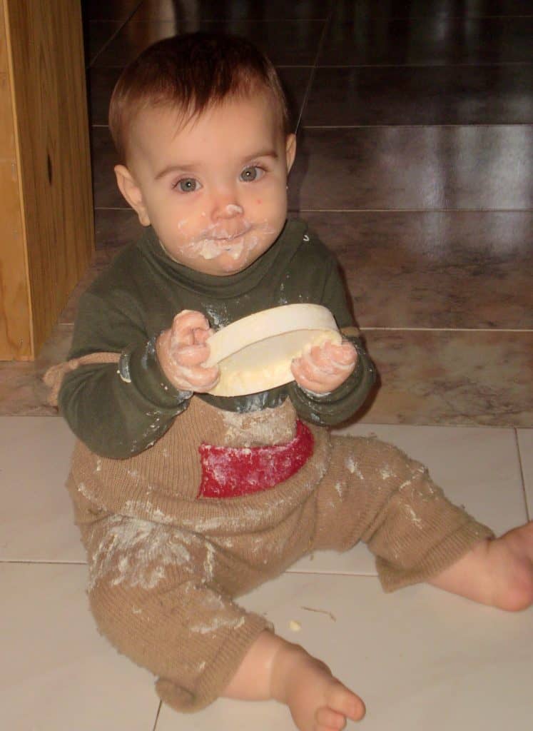 Libro Baby Led Weaning traducido al español.